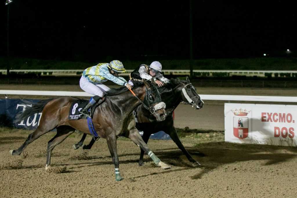 carreras de caballos con sabor a feria