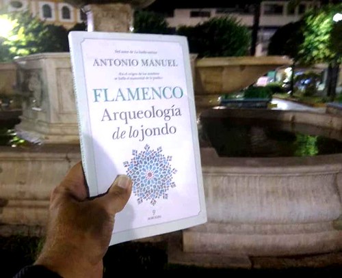 Libro de flamenco de Antonio Manuel Rodríguez